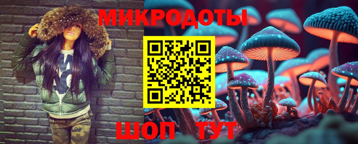 Псилоцибиновые грибы Cubensis  Вход с VPN  Галлюциногенные грибы мухоморы  Донской 