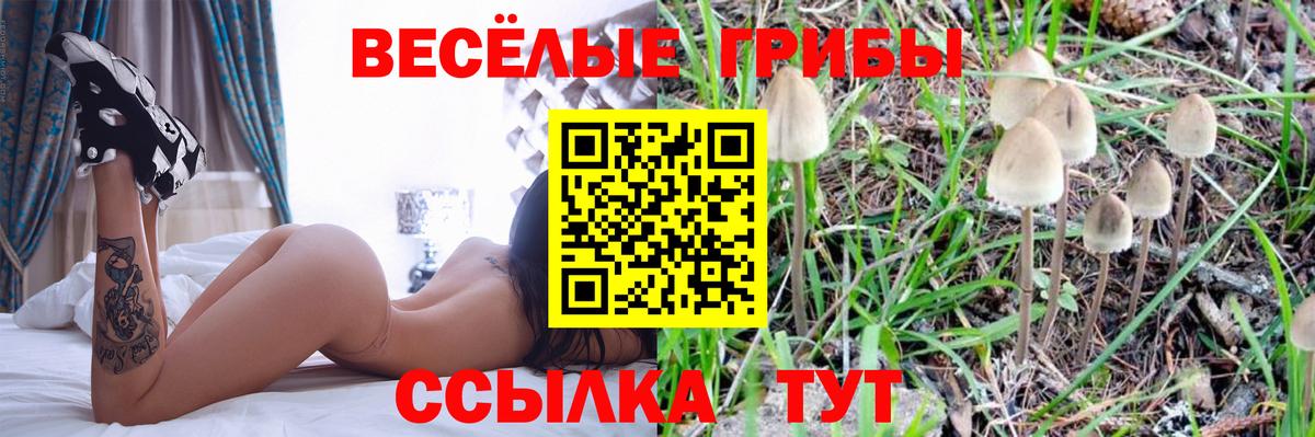 Псилоцибиновые грибы MAGIC MUSHROOMS Донской