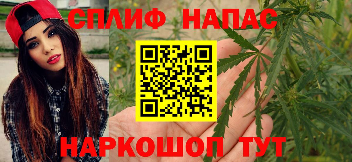 ГАШ Донской